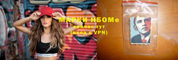 ГАЛЛЮЦИНОГЕННЫЕ ГРИБЫ Михайлов