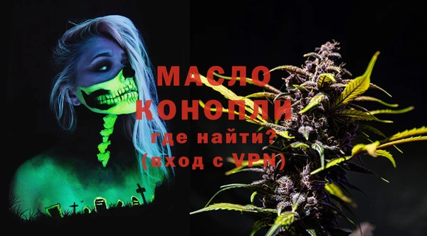 ешки Новодвинск