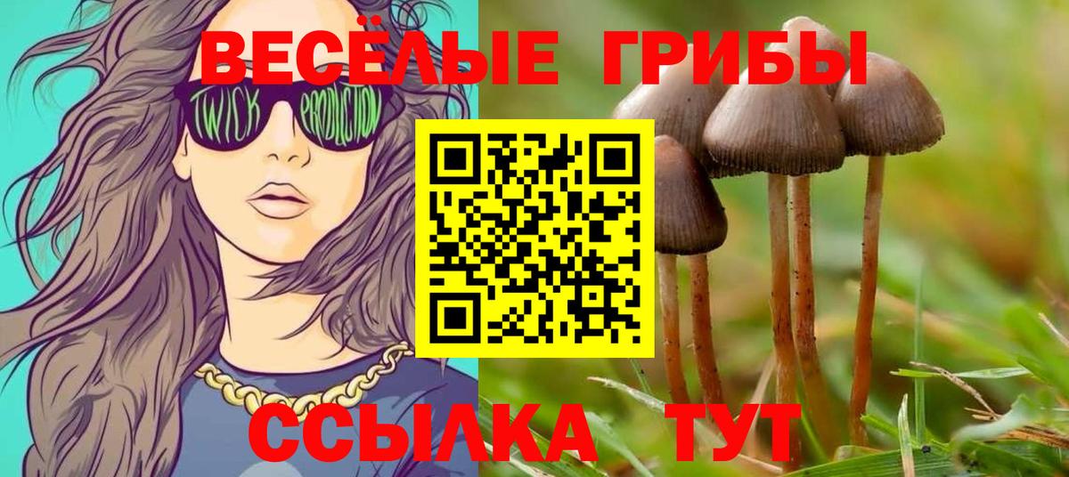 Галлюциногенные грибы Magic Shrooms Лесозаводск