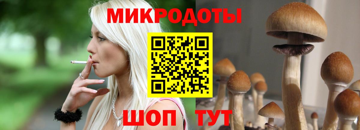 закладка  Вход с VPN  Лесозаводск  Галлюциногенные грибы мухоморы 